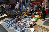 IMG_8249