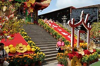 IMG_8482