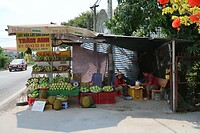 IMG_8485