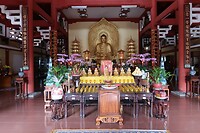 IMG_8496