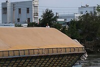 IMG_8519