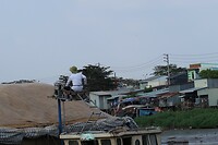IMG_8520