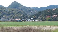 MVI_2281