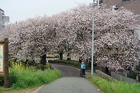 IMG_9267