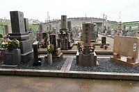 IMG_9268
