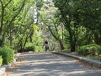 IMG_2325