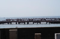 IMG_9294