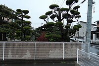 IMG_9329