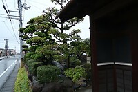 IMG_9330