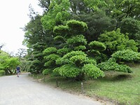 IMG_2483