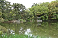 IMG_9429