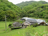 IMG_2539