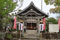 IMG_9458