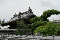 IMG_9461
