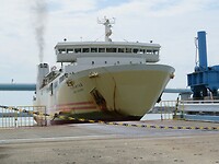 IMG_2558