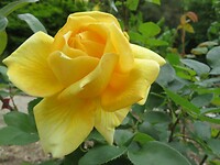 IMG_2719