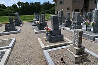 IMG_9657