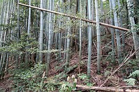 IMG_9662