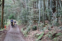 IMG_9664
