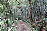 IMG_9666
