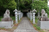 IMG_9667