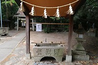 IMG_9668