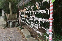 IMG_9670