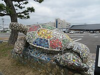 IMG_2741