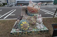 IMG_9686