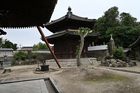 IMG_9690