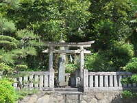 IMG_2755