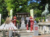 IMG_2756