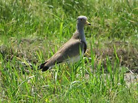 IMG_2773