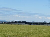 IMG_2775