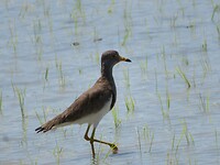 IMG_2777