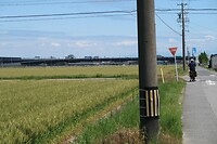 IMG_9713