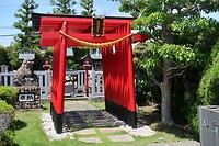 IMG_9714