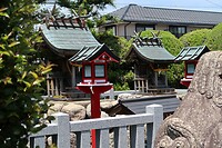 IMG_9715