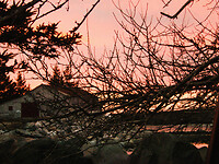 P1120087-1