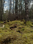 Wandelavonturen