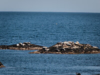 Kejimkujik National Park (Seaside Unit)