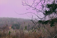 P1120153