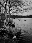 McLean Lake