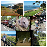 20171108_224607-COLLAGE
