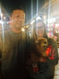 Harig hondje met knipperlicht