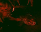 Caldera deel 2 Angeline naast lederschildpad
