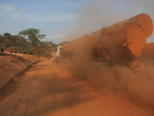 Kameroen 2 Logging trucks