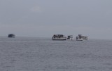 5. bootjes rond de walvissen