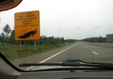 5. pas op voor pauwen op de tolweg