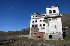 Blog 5 Vogelhotel